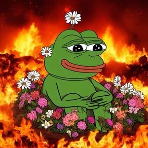 Meet your Posher, Kitaria